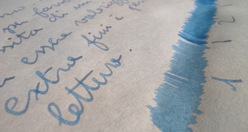 9-10 GvFC Gulf Blue macro.jpg