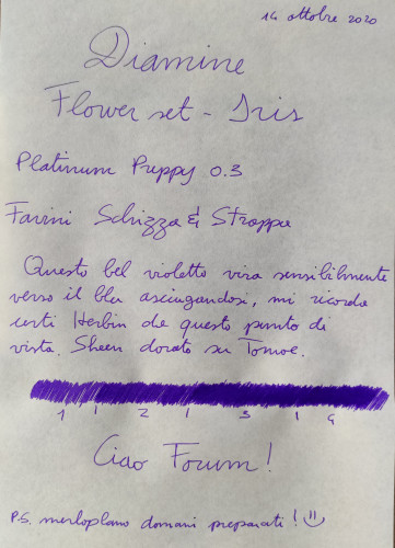 14-10 Diamine Iris sole.jpg