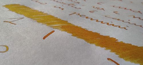 19-10 Lamy Mango macro.jpg