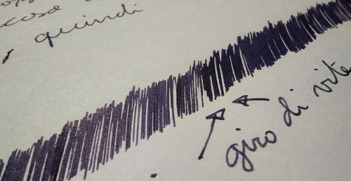 21-10 Diamine Eclipse macro.jpg