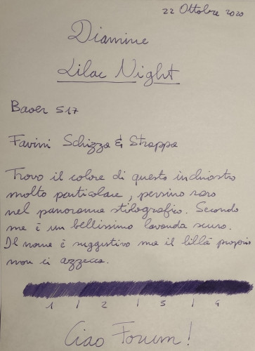 22-10 Diamine Lilac Night led.jpg