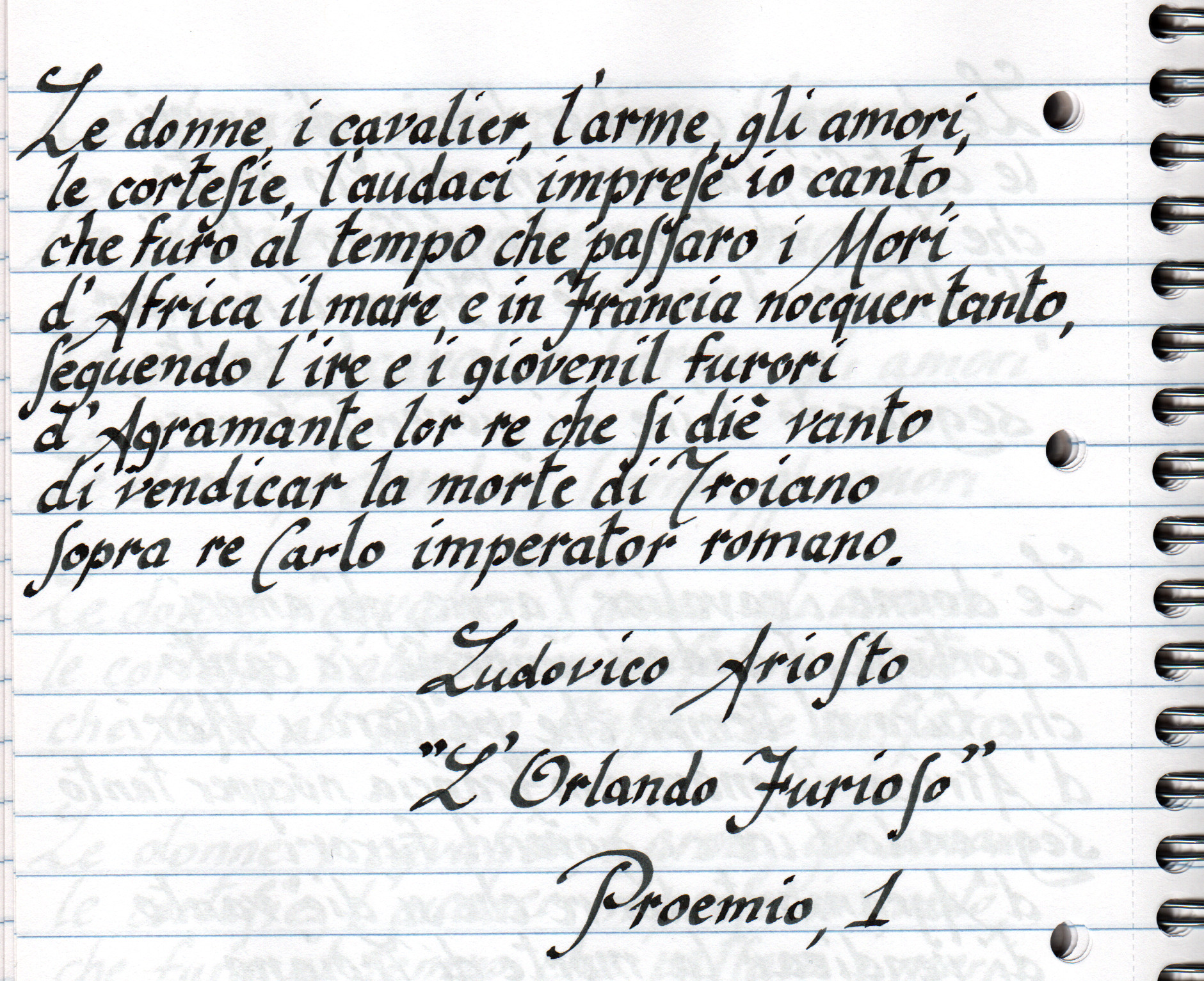 Orlando Furioso - Calligraphie