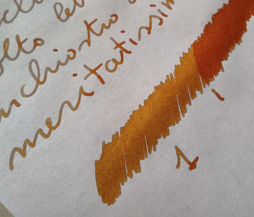 31-10 Diamine Autumn Oak macro.jpg
