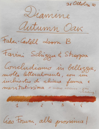 31-10 Diamine Autumn Oak.jpg