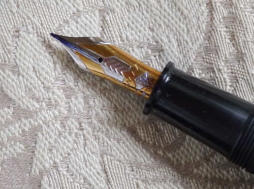 P1180766a Gama Eyas with Omas 18k nib.jpg