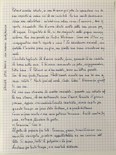 PAGINA-SAILOR.jpg