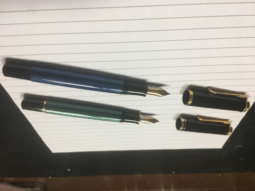 PELIKAN.JPG