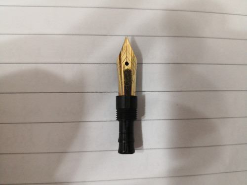 IMG_20210528_230327.jpg (2.24 MiB) Visto 1692 volte Dettaglio del pennino.