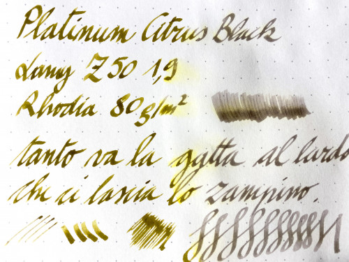 Platinum-citrus-acqua.jpg (755.34 KiB) Visto 2215 volte a destra sotto l'acqua corrente