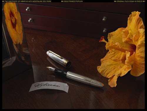 The discovery of Hibiscus with  Montblanc Solitaire (1) ©FP.jpg